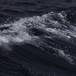 我爱和女人上床日B
