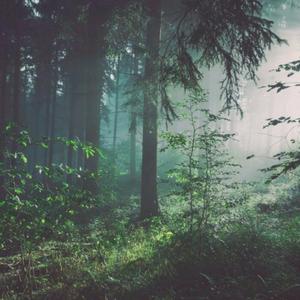 我爱和女人上床日B
