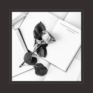 我爱和女人上床日B
