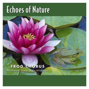 我爱和女人上床日B
